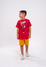 Conjunto the flash